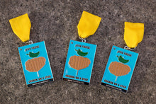 Chicken on a Stick 2016 SA Flavor Fiesta Medal